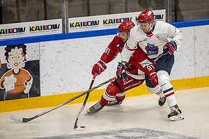 Rdovre Mighty Bulls - Rungsted Seier Capital