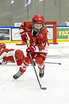 U6-7 Cup I Herlev IK