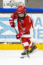 U6-7 Cup I Herlev IK
