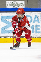 U6-7 Cup I Herlev IK