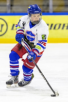 U15.2 Landsmesterskab i Hvidovre IK