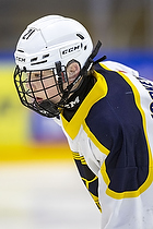 U15.2 Landsmesterskab i Hvidovre IK