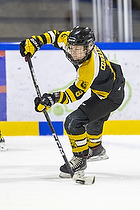 U15.2 Landsmesterskab i Hvidovre IK