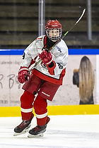 U15.2 Landsmesterskab i Hvidovre IK