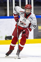 U15.2 Landsmesterskab i Hvidovre IK