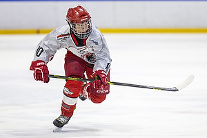 U15.2 Landsmesterskab i Hvidovre IK