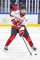 U15.2 Landsmesterskab i Hvidovre IK