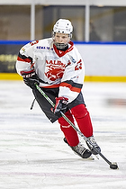 U15.2 Landsmesterskab i Hvidovre IK