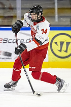 U15.2 Landsmesterskab i Hvidovre IK