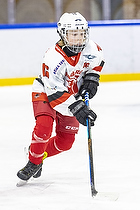 U15.2 Landsmesterskab i Hvidovre IK