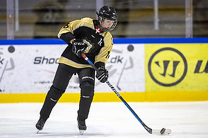 U15.2 Landsmesterskab i Hvidovre IK