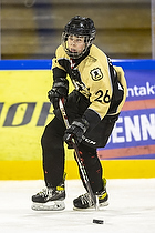 U15.2 Landsmesterskab i Hvidovre IK