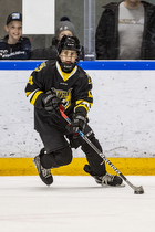 U11 Cup i �restaden