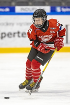 U13.2 Landsmesterskab i Aalborg