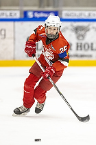 U13.2 Landsmesterskab i Aalborg
