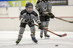 Copenhagen Falcons