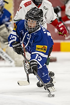 U9 Cup i Vojens