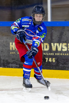 U14.2 Puljeturnering i Hvidovre IK