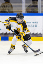 U14.2 Puljeturnering i Hvidovre IK
