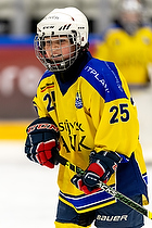 U10 Cup i Vojens IK