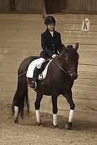LC1 B pony - A