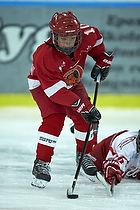 Klik for at se eller bestil foto