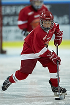 Klik for at se eller bestil foto