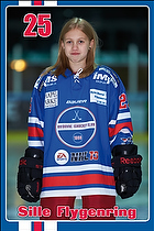 Klik for at se eller bestil foto