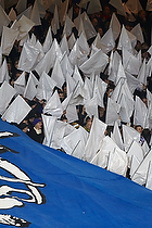 FCK-fans med flag