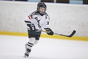 Klik for at se eller bestil foto