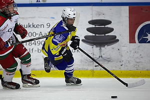 Klik for at se eller bestil foto