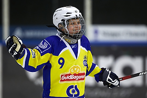 Klik for at se eller bestil foto