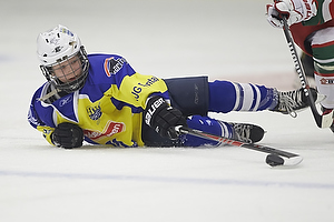 Klik for at se eller bestil foto