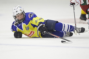 Klik for at se eller bestil foto