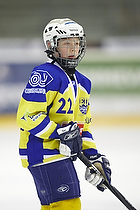 Klik for at se eller bestil foto