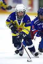 Klik for at se eller bestil foto