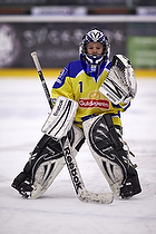 Klik for at se eller bestil foto