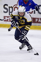 Klik for at se eller bestil foto