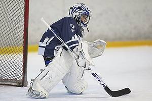 Klik for at se eller bestil foto