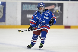 Klik for at se eller bestil foto