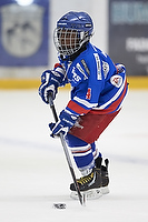 Klik for at se eller bestil foto