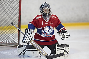 Klik for at se eller bestil foto