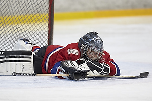 Klik for at se eller bestil foto