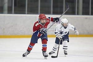 Klik for at se eller bestil foto