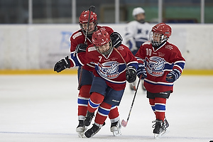 Klik for at se eller bestil foto