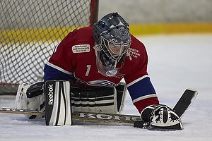 Klik for at se eller bestil foto