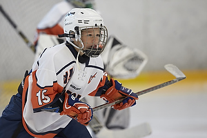 Klik for at se eller bestil foto