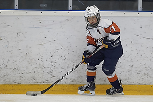 Klik for at se eller bestil foto