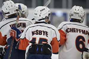 Klik for at se eller bestil foto