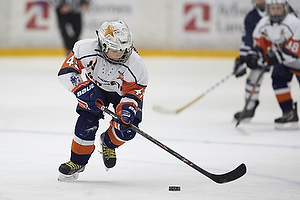 Klik for at se eller bestil foto